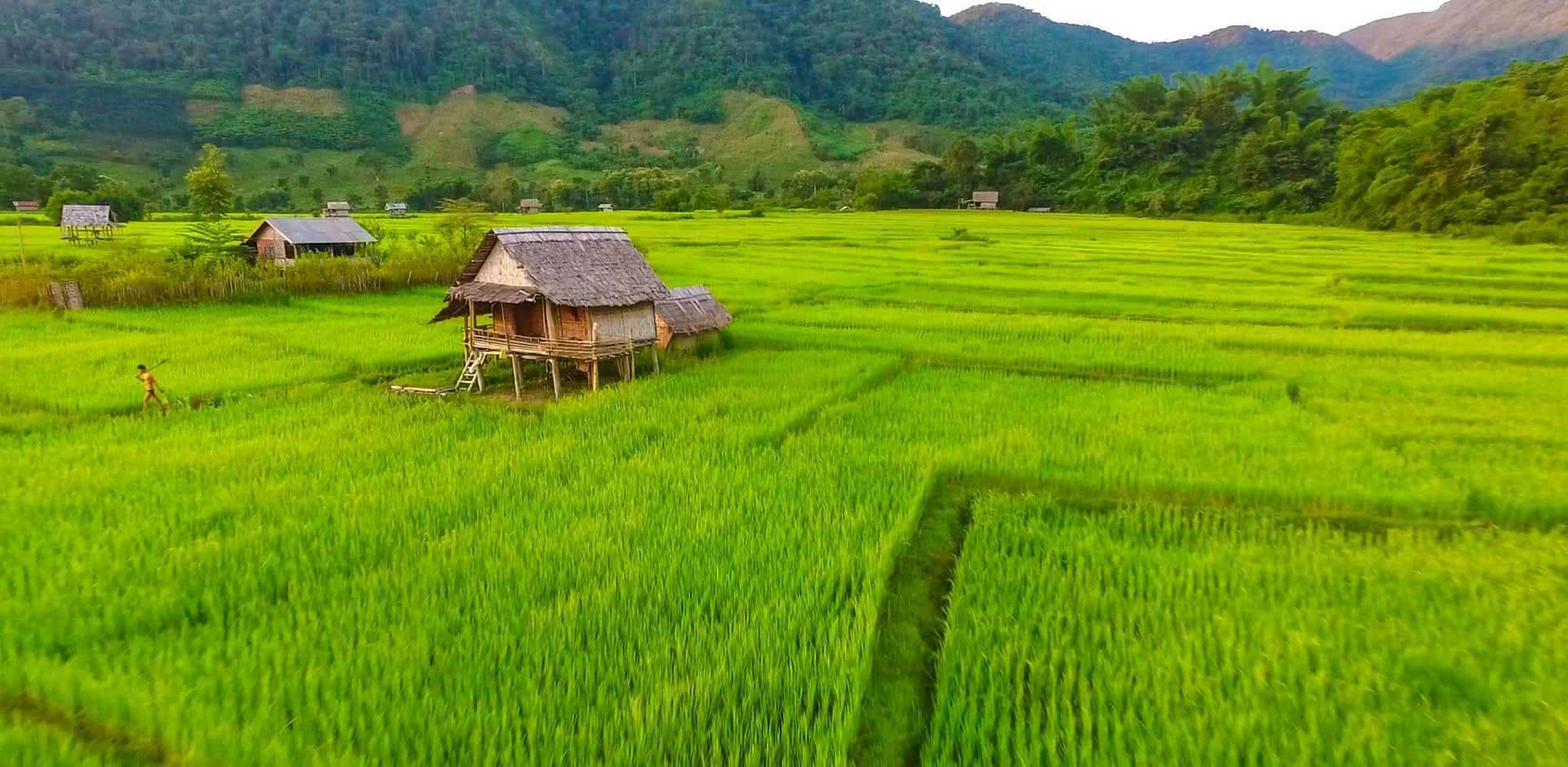 Capture the vibrant beauty of Muang La in the dry season